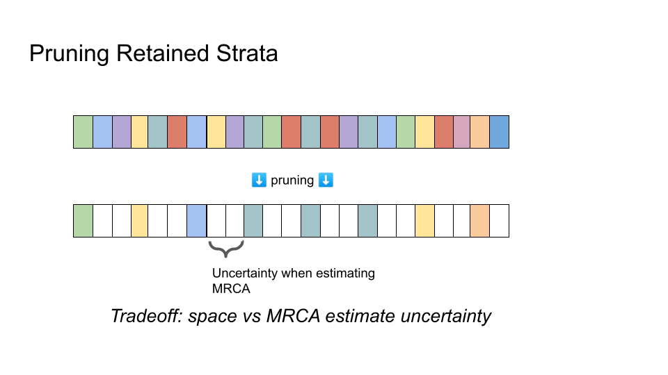 Comparison of hereditary stratigraphic column before and after pruning retained strata