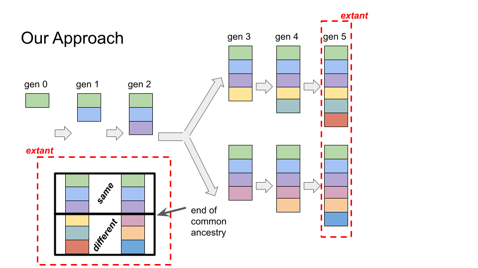 Cartoon showing relatedness estimation via a hereditary stratigraphic column